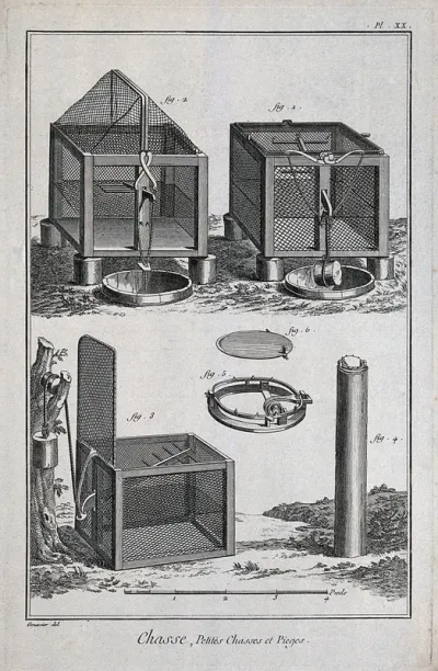 Hunting: two variants of a trap for catching roosting birds