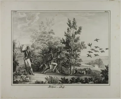 Hunting Wild Chickens