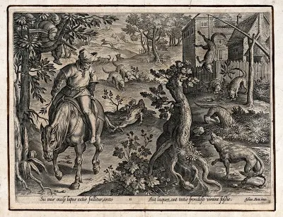 Hunting: wolves are attracted by a ram's carcass, are trapped in snares, and fall into a pit hidden by leaves