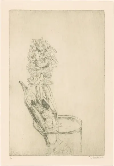 Hyacint in glazen vaas