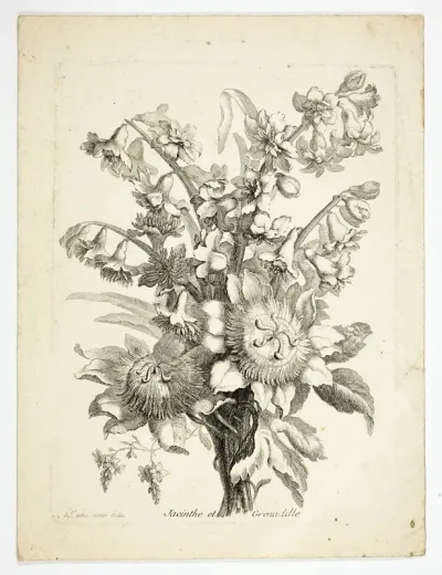Hyacinthe and Passion Fruit Flower, plate two from Mes Petits Bouquets
