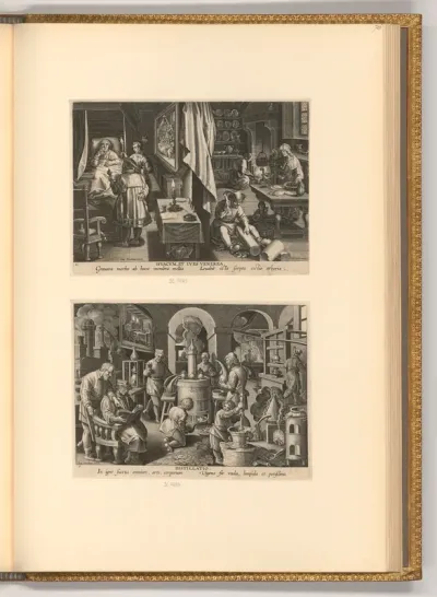 Hyacum et Lues Venerea; Destillatio
