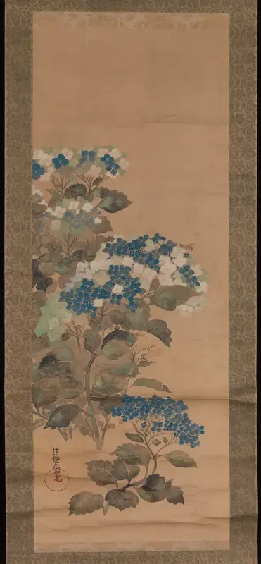 Hydrangeas