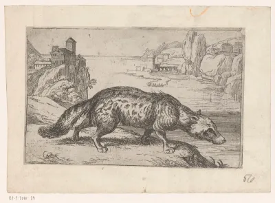 Hyena