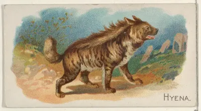 Hyena, from the Quadrupeds series (N21) for Allen & Ginter Cigarettes
