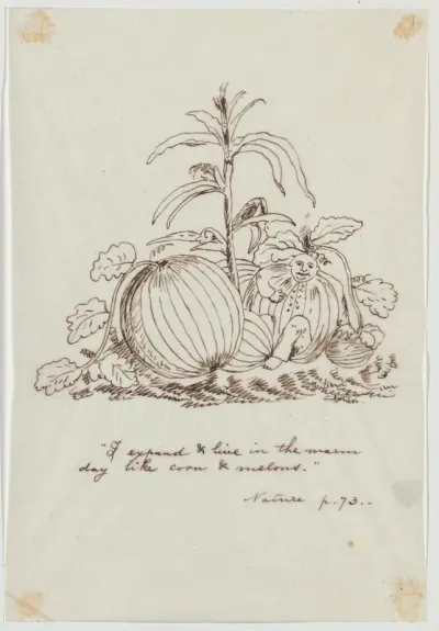 I Expand and Live in the Warm Day Like Corn and Melons (Illustration for Ralph Waldo Emerson's "Nature")