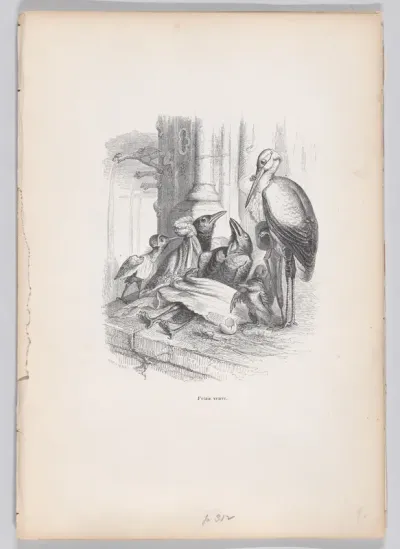 I was a widow, from "Scenes from the Private and Public Life of Animals"