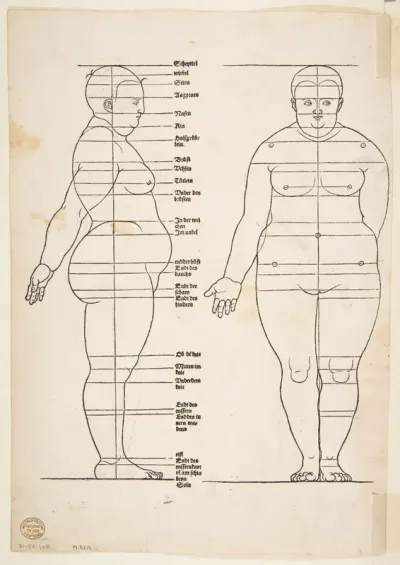 IIllustration from Dürer's "Vier Bucher von Menslicher Proportion"