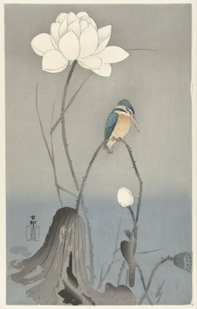 IJsvogel bij lotusbloem