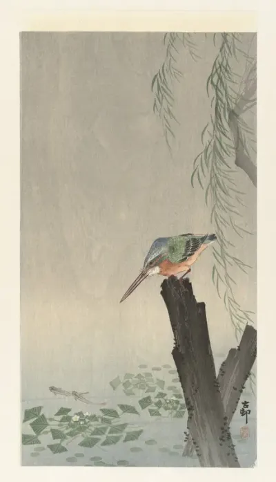 IJsvogel op boomstronk