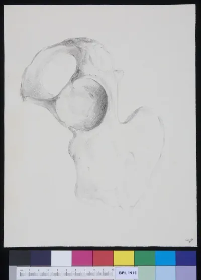 Ilium