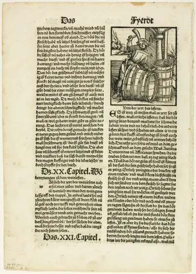 Illustration from Von dem nutz der ding, plate seventeen from Woodcuts from Books of the XVI Century