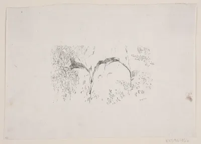 Illustration til "Bamse Brakar"