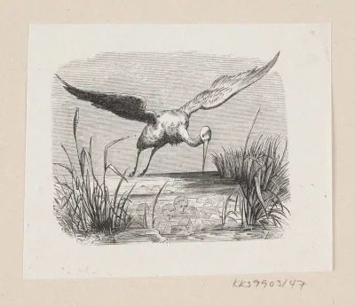 Illustration til "Storkene" i H.C. Andersen, "Eventyr og Historier", Bind 1