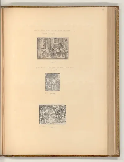 Illustrationen: Das Buch der Sünden des Mundes, Das Buch Arbore humana