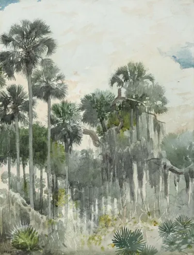 In a Florida Jungle