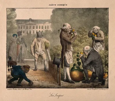 In a garden, men with wens look through magnifying glasses at round flowers