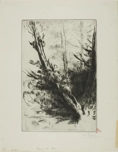 In a Wood