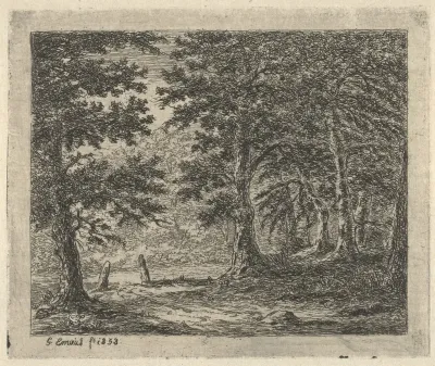 In het Benthemsche bosch