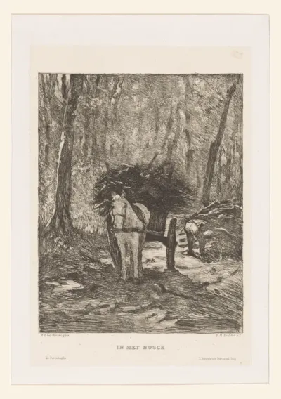 In het bosch