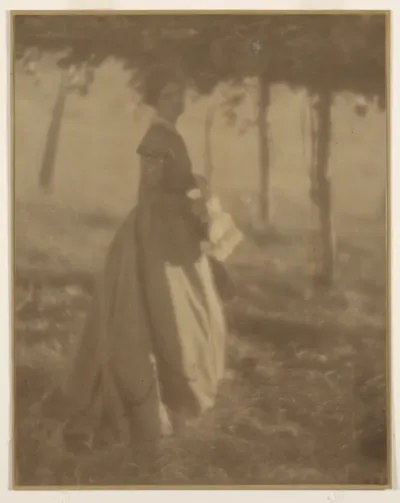 In the Arbor