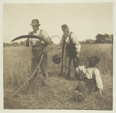 In the Barley-Harvest (Suffolk)