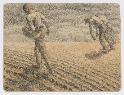 In the Field