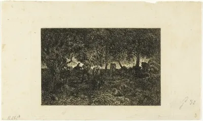 In the Forest