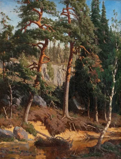 In the Forest