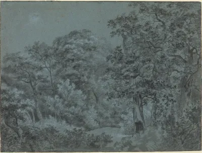 In the Hague Woods