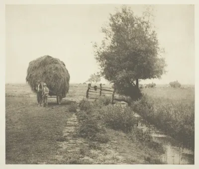 In the Haysel (Norfolk)