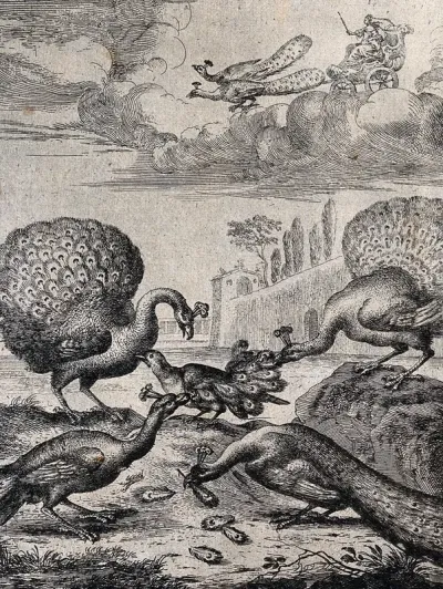 In the midst of four peacocks a jay is decked with peacock feathers; illustration for a fable by Aesop