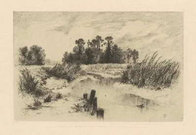 In the Newark Meadows