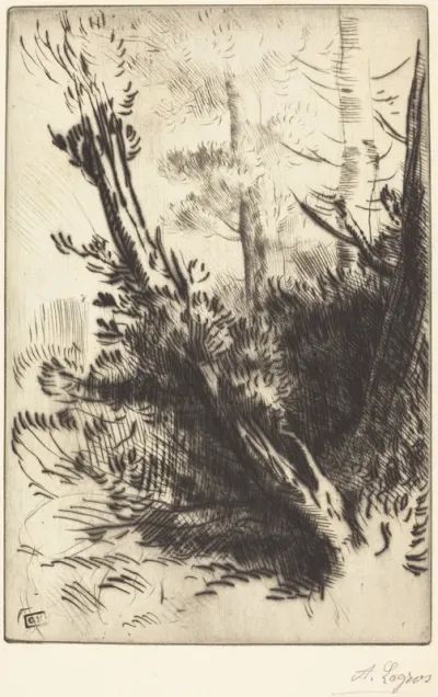 In the Woods (Dans les bois)