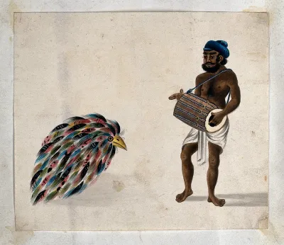 India: a drummer with an exotic bird