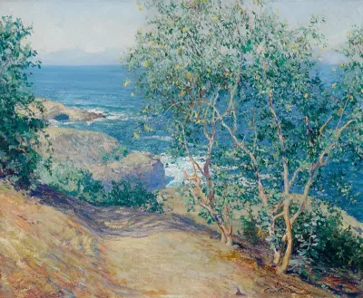 Indian Tobacco Trees, La Jolla