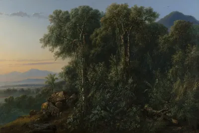 Indonesian landscape