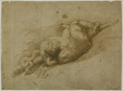 Infant Hercules (recto); Standing Putto with Hand to Chin (verso)