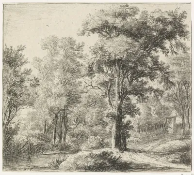 Ingang van het bos