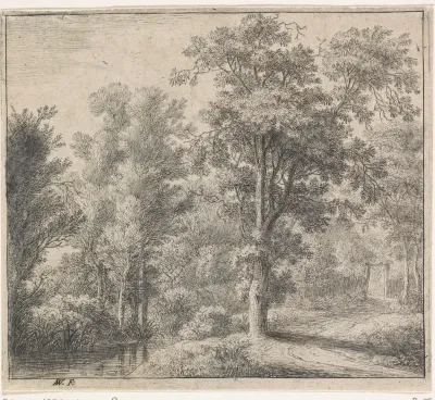 Ingang van het bos