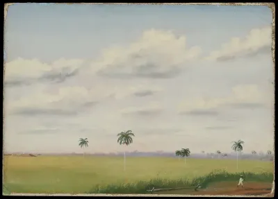 Ingo, San Martin, Cuba