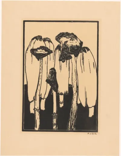 Inktzwammen