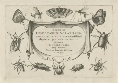 Insecten