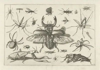 Insecten
