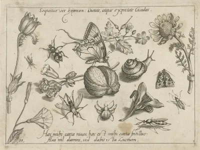 Insecten, bloemen en een slak rond een walnoot