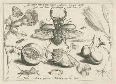 Insecten, bloemen en vruchten rond een hertkever en een schelp
