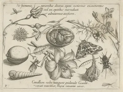 Insecten, planten en schelpen rond een kuiken in een ei