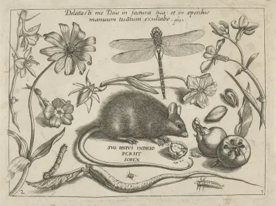 Insecten, planten en vruchten rond een rat