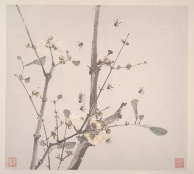 Insects and Flowers