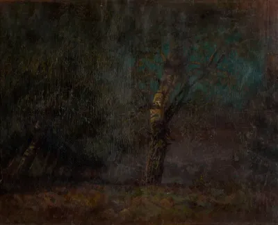 Inside of a Birch Forest